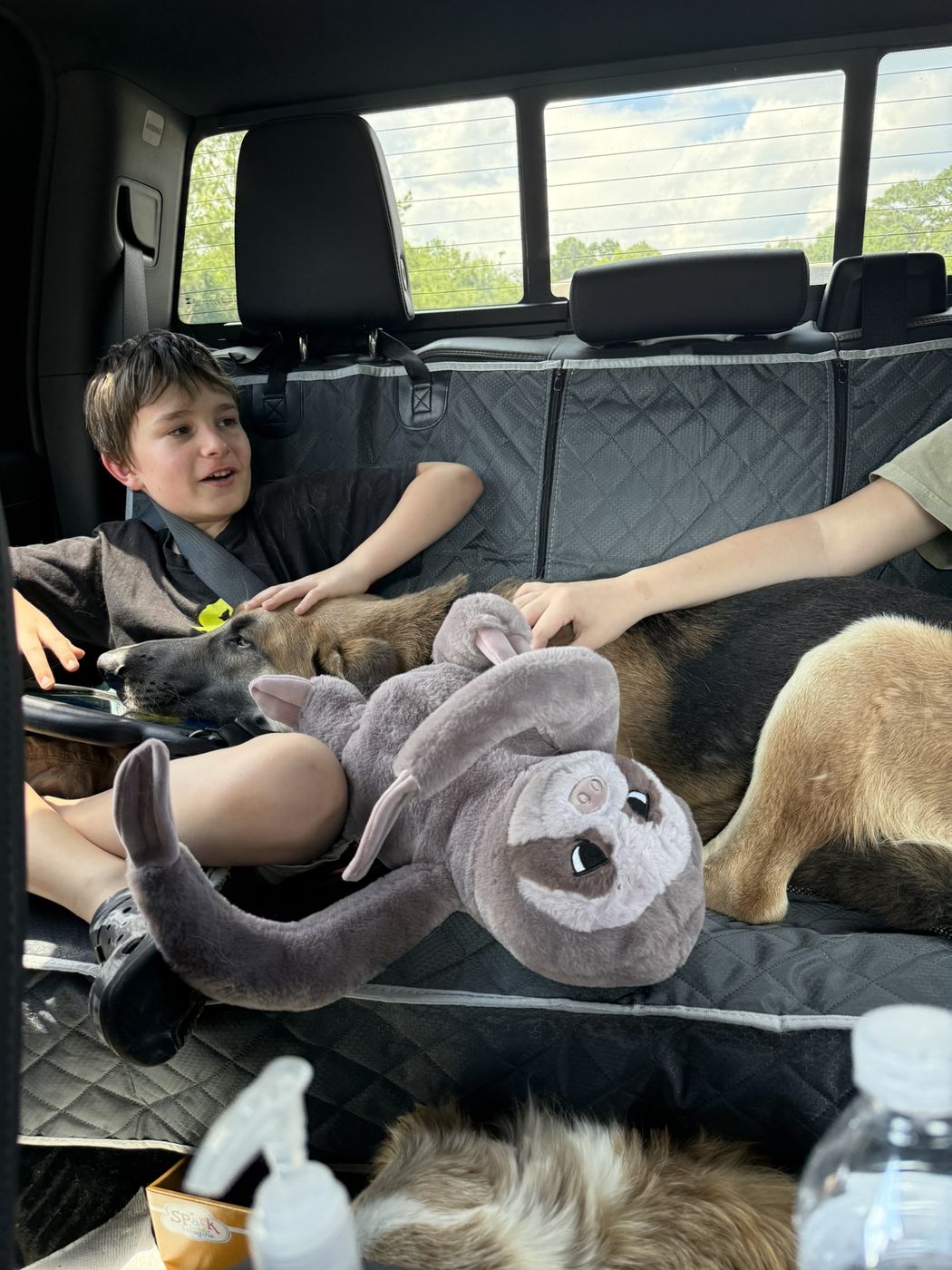 Our kids road-tripping with our German Shepherd