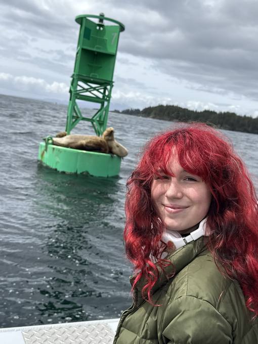 sea lions off the pier